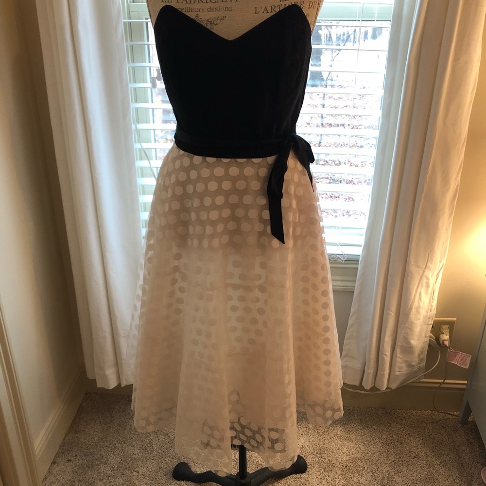 Stunning retro inspired black and white dress!